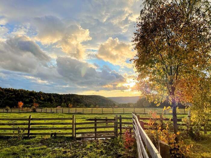 Peisaj înconjurător